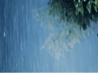 德商产投服务:吹响备汛集结号！未雨绸缪，筑牢汛期安全防线