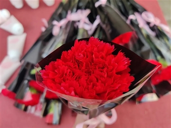 【3·8妇女节】 | 春风十里，阳光明媚，金地智慧服务祝女性同胞妇女节快乐！