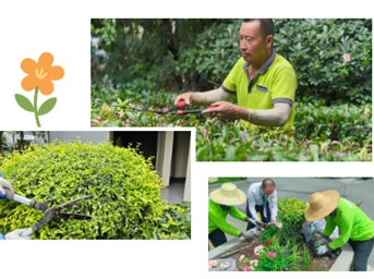 春满园区｜修剪塑形焕新颜，繁花缀境赴美好